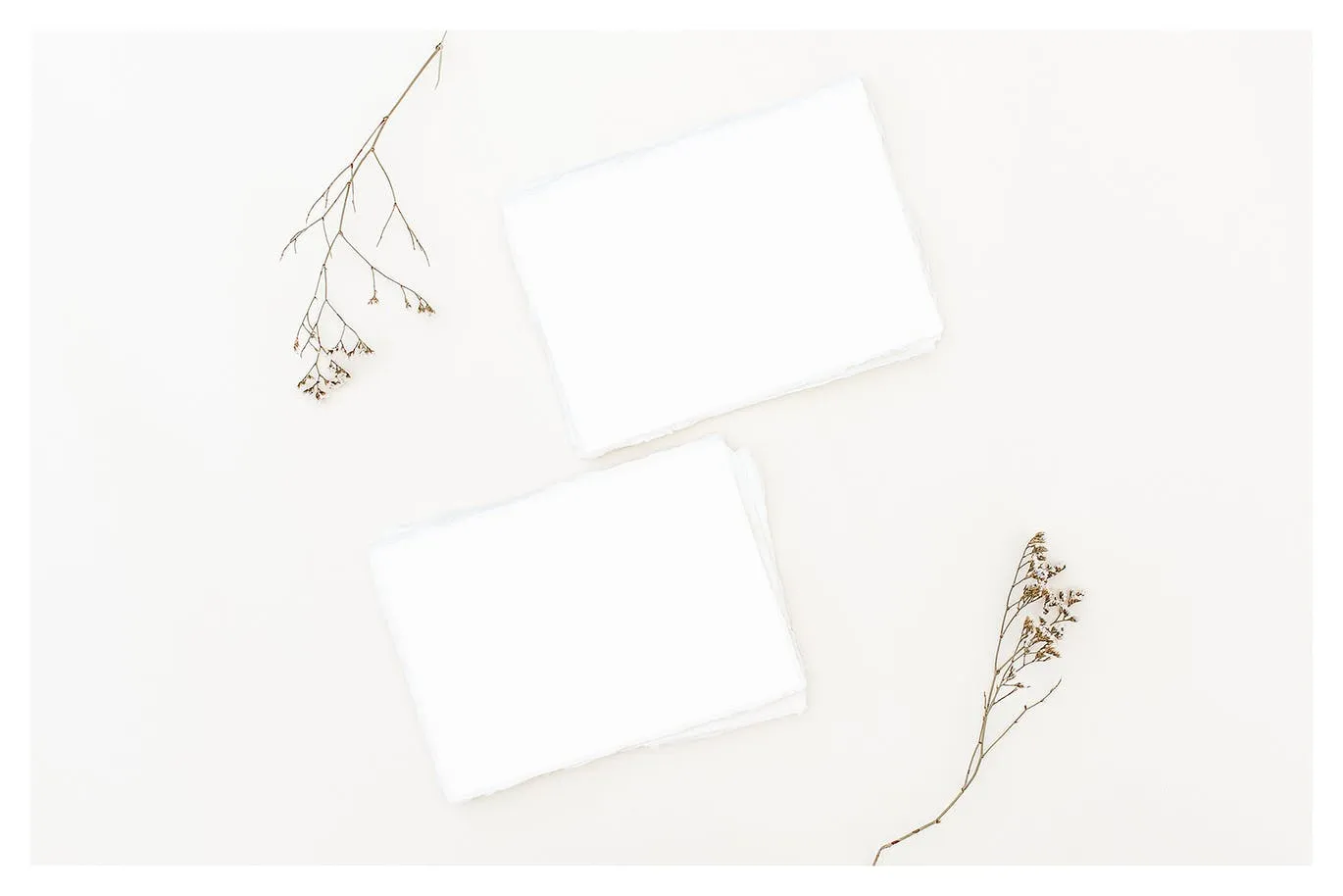 野花装饰背景卡片贺卡设计效果图样机 Wildflowers Cards Mockup插图(9)