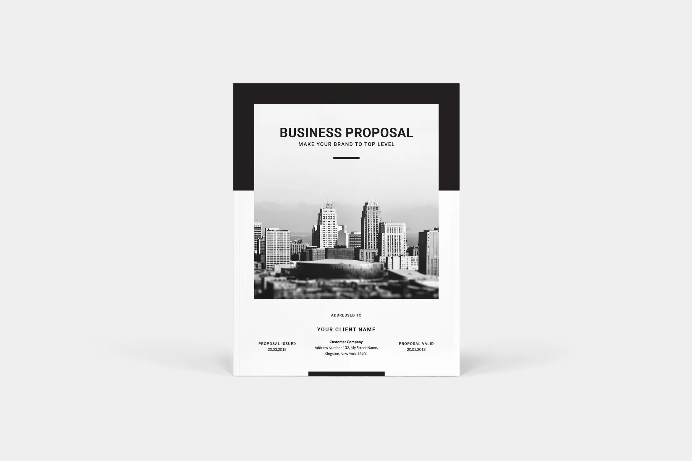 标准化商业计划书设计模板 Business Proposal