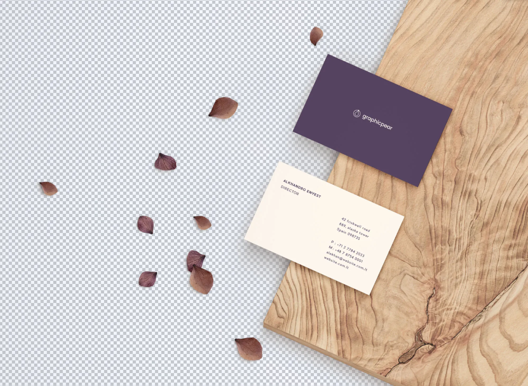 名片设计前视图&后视图样机模板 Front & Back Business Card Mockup插图(1)