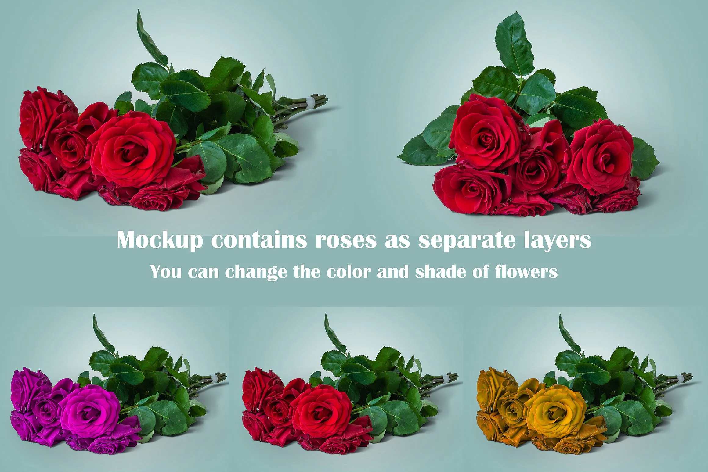 宝丽来相机样机 Polaroid Mockup插图(5)