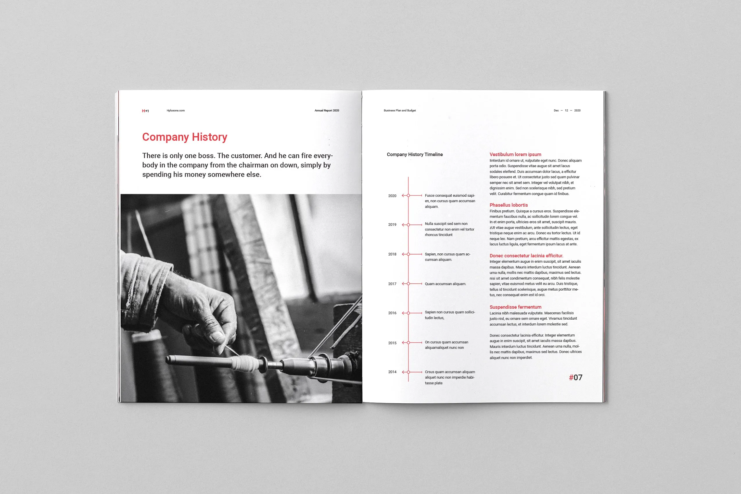 36页专业极简的年度总结杂志模板下载 Annual Reports [indd]插图(5)