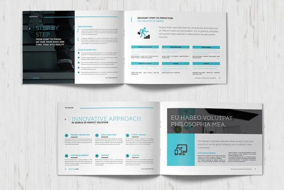 一份专业性的企业提案/创业方案小册子模板插图(4)