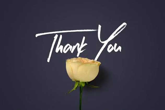 繁花似锦逼真鲜花场景样机模板 Flower Boom Graphic Pack插图(4)