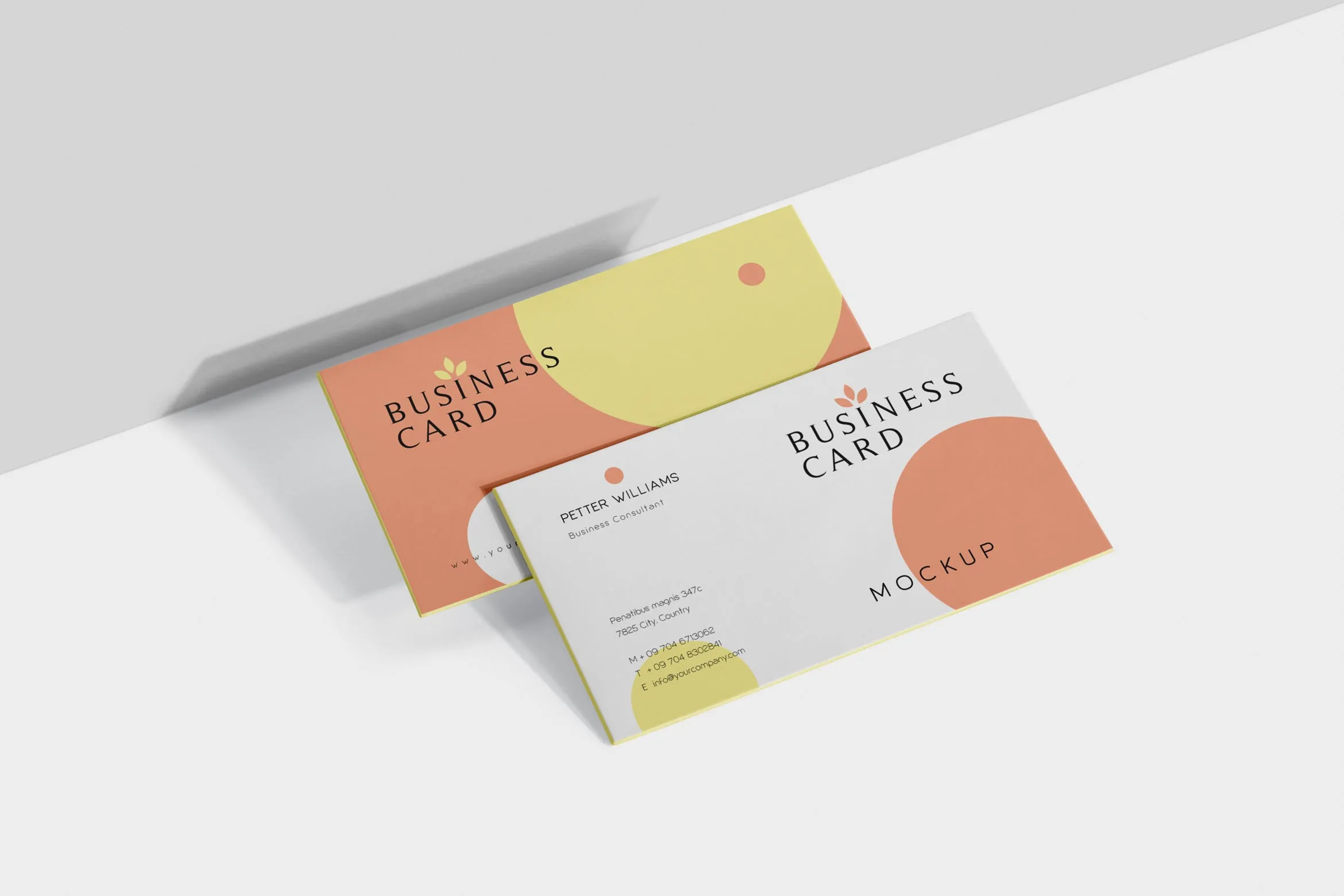 创意企业名片设计阴影效果图像素设计精选 Business Card Mock-Ups