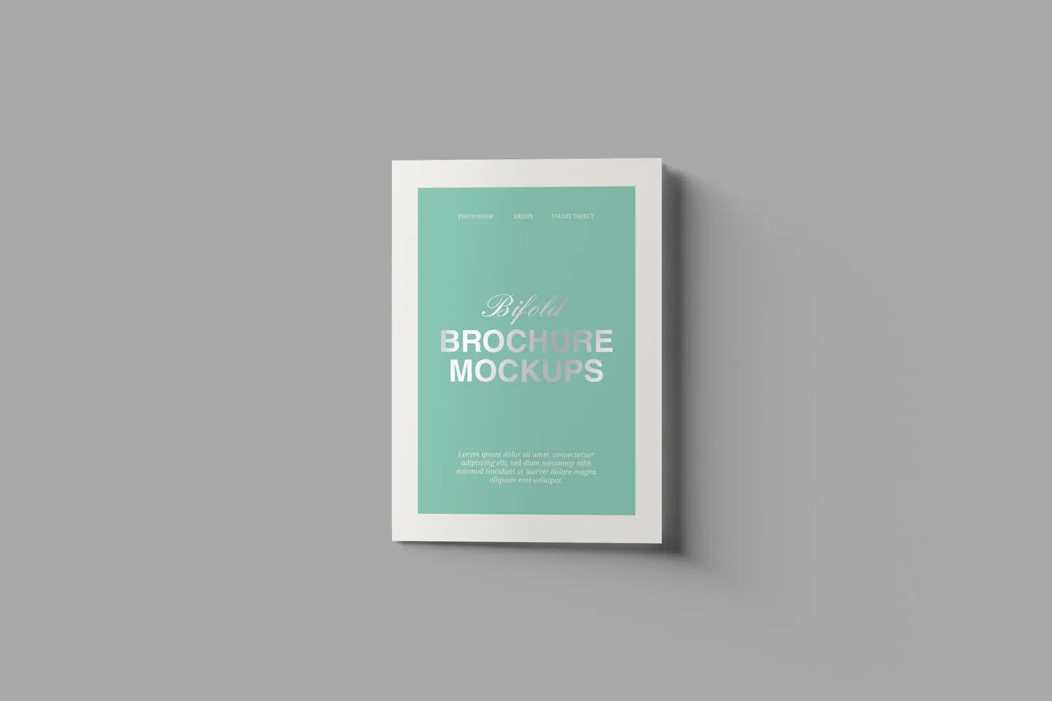 A5双折页产品传单设计图样机 A5 Bifold Brochure Mockups插图(5)