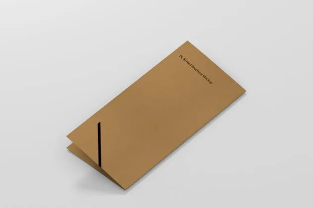对折折页宣传小册样机 DL Bi-Fold Brochure Mock-Up插图(2)