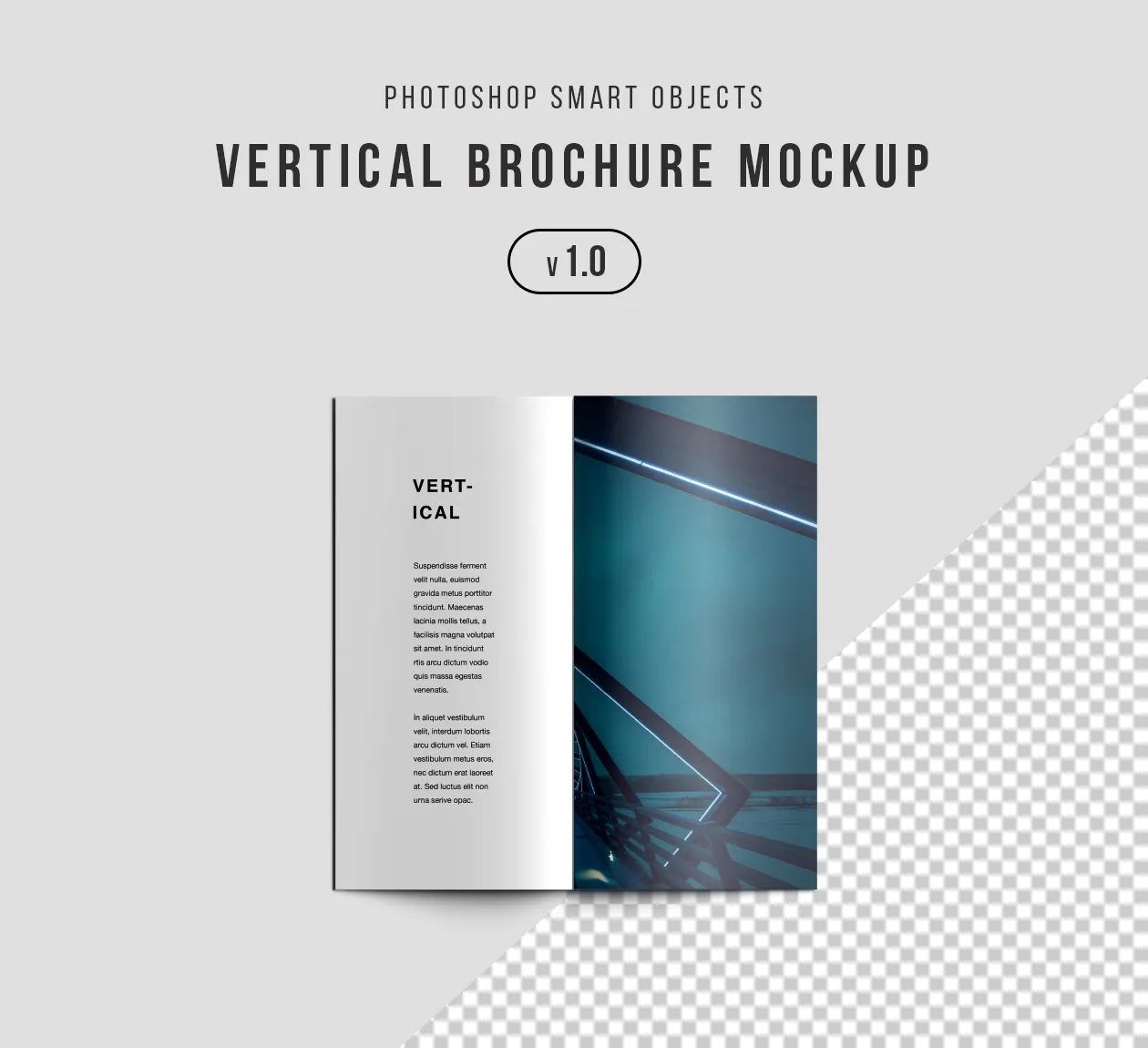 企业宣传册封面amp;封底设计效果图PSD样机 Vertical Brochure Mockup Psd