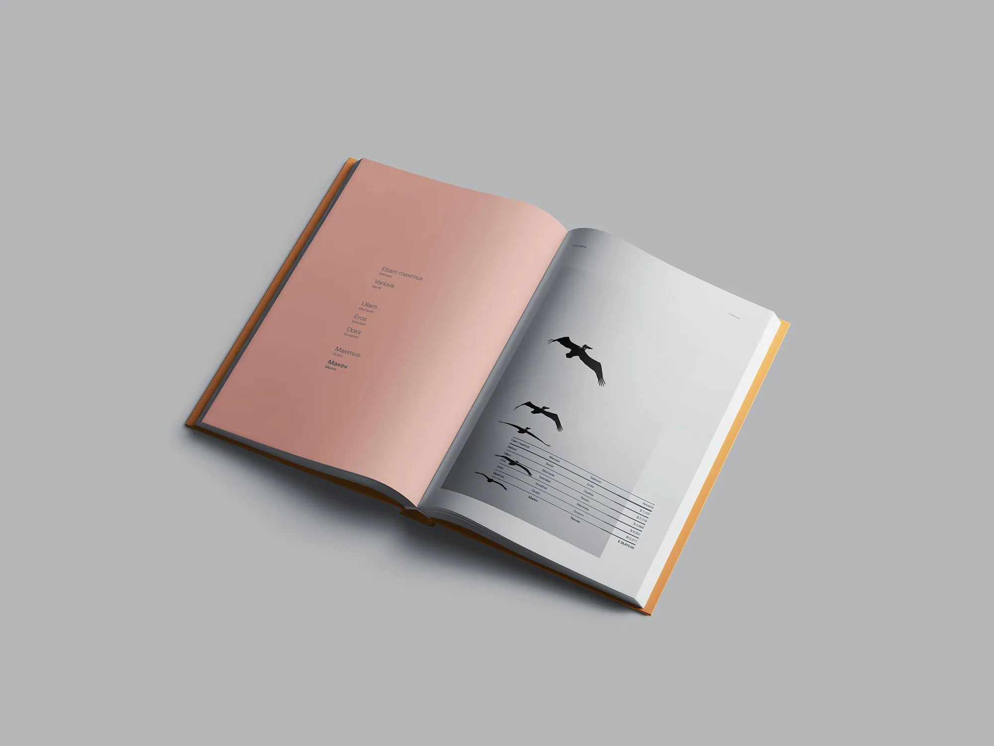 精装图书封面设计效果图样机 Hardcover Book with Sleeve Mockup插图(3)