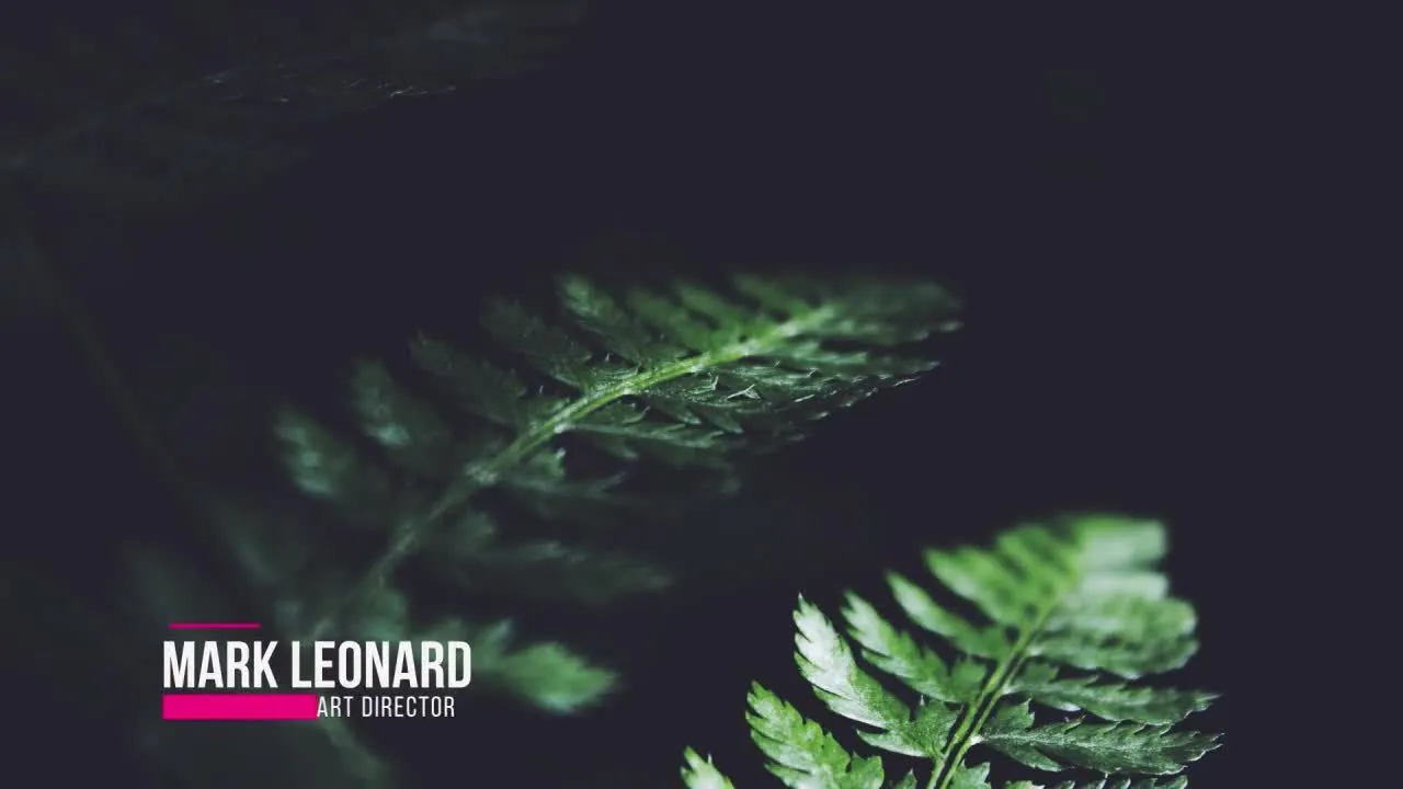 20种简洁现代文字标题字幕像素设计精选AE模板