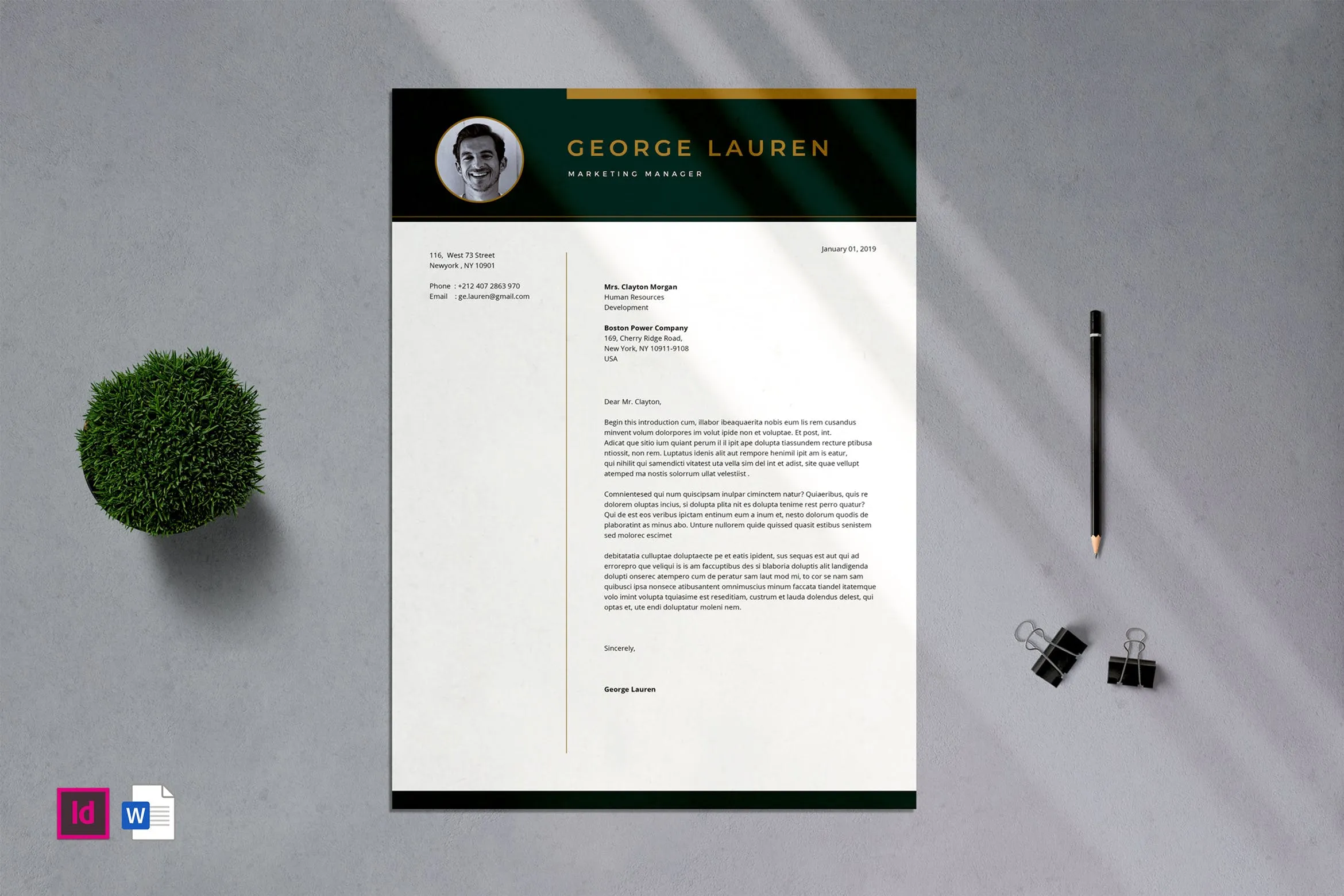 简约朴实风格专业CV简历模板v02 Professional CV Resume – 02插图