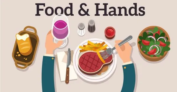 食物amp;手创意动画视频像素设计精选AE模板 Foodamp; Hands Explainer