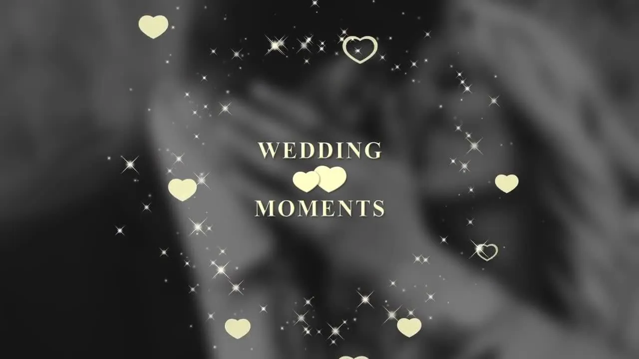 5个设计独特且动画优雅的婚礼像素设计精选AE模板