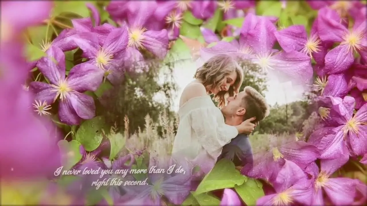 紫罗兰花园画廊动画像素设计精选AE模板