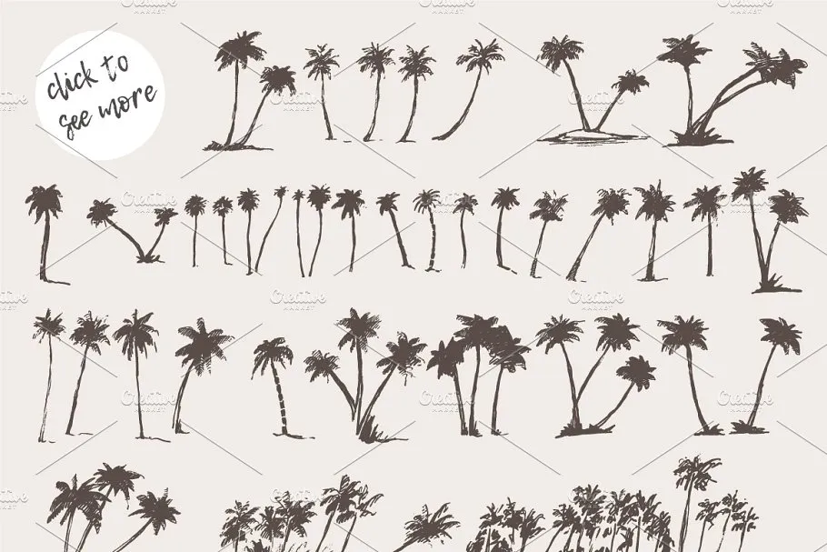 素描棕榈树剪影 Silhouettes of palm trees插图(1)