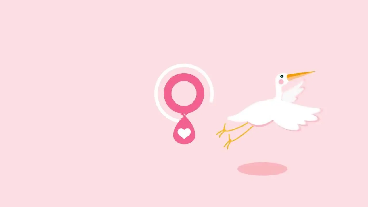 充满乐趣的婴儿生日介绍像素设计精选AE模板