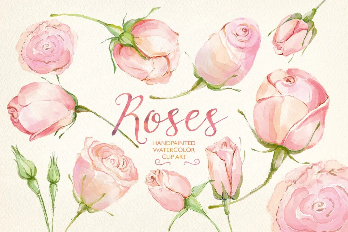 冰淇淋色玫瑰花水彩剪贴画 Watercolor clip art cream roses