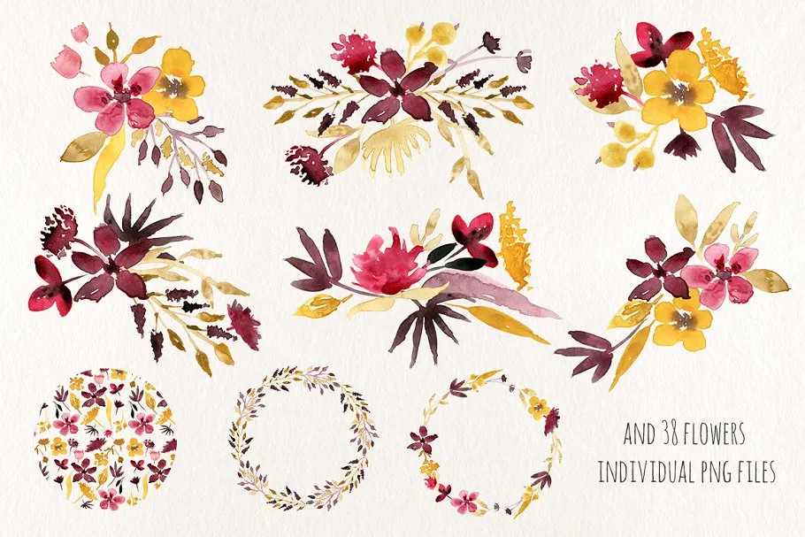 花卉标本水彩剪切画 Dried Flowers插图(3)