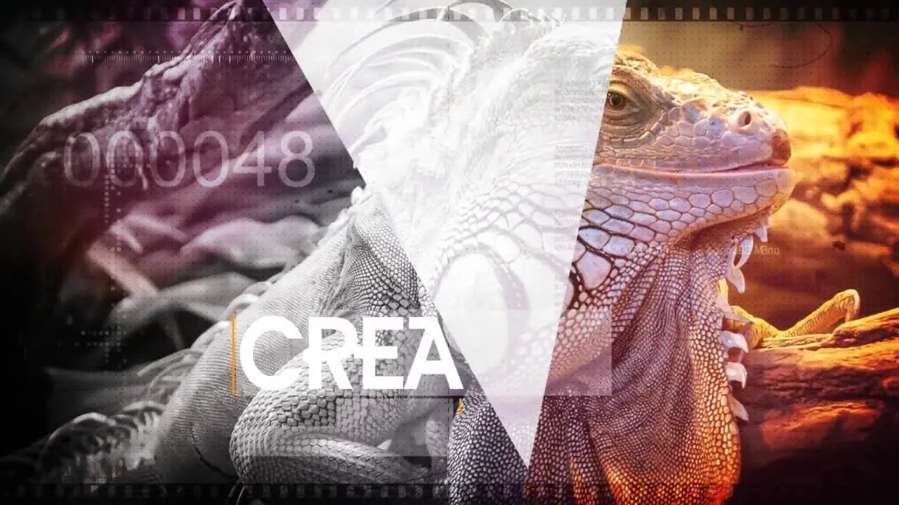 故障主题像素设计精选AE模板