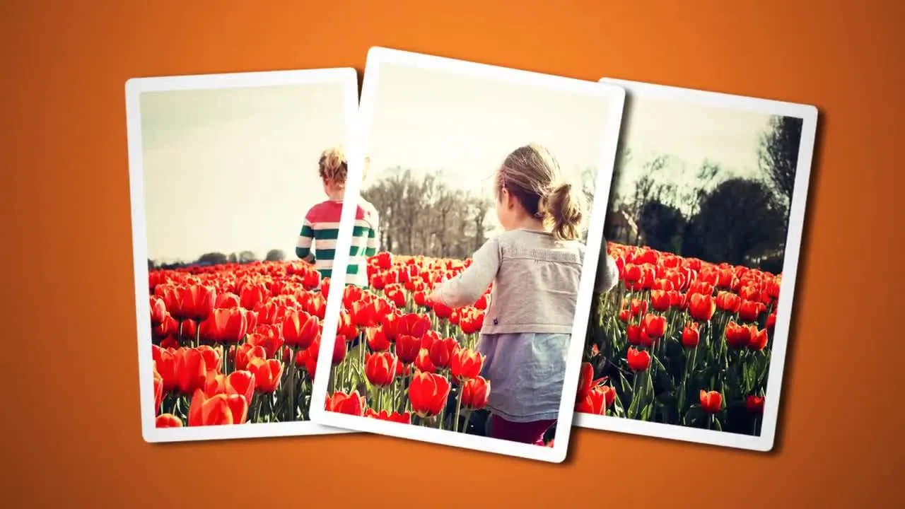 精美的定格幻灯片放映像素设计精选AE模板