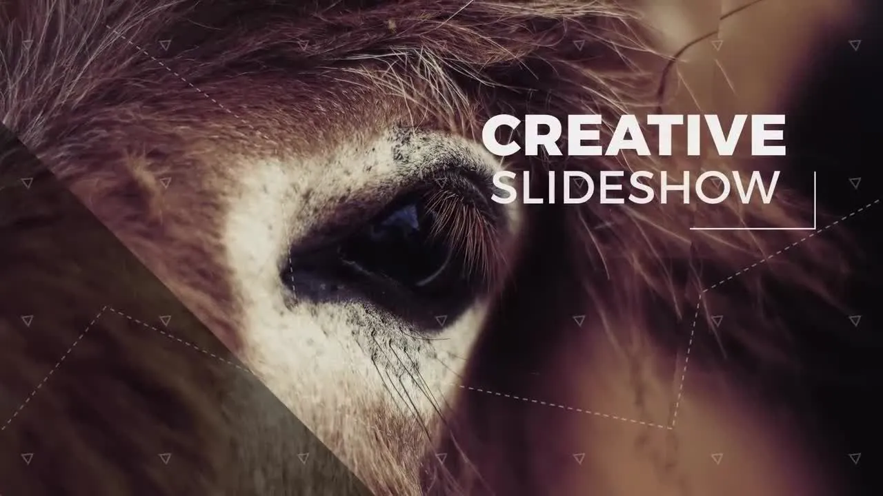 有创意的旅游幻灯片照片展示像素设计精选AE模板