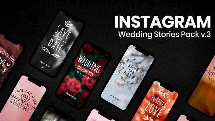 12个简洁婚礼照片墙时尚的像素设计精选AE模板