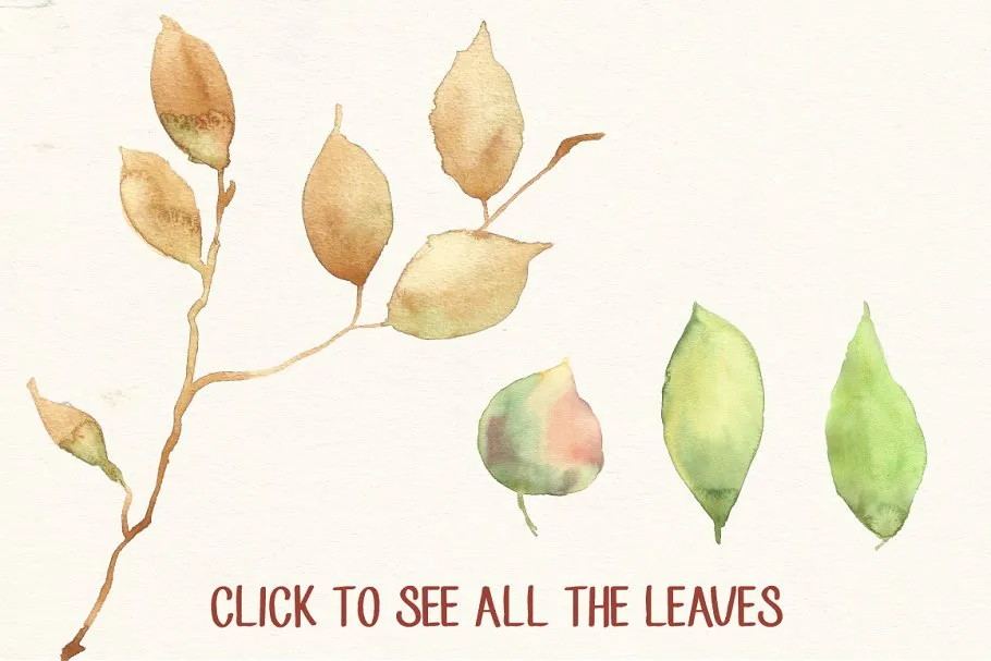 水彩花卉和树叶剪贴画 Watercolor Flowers and Leaves Pack插图(2)