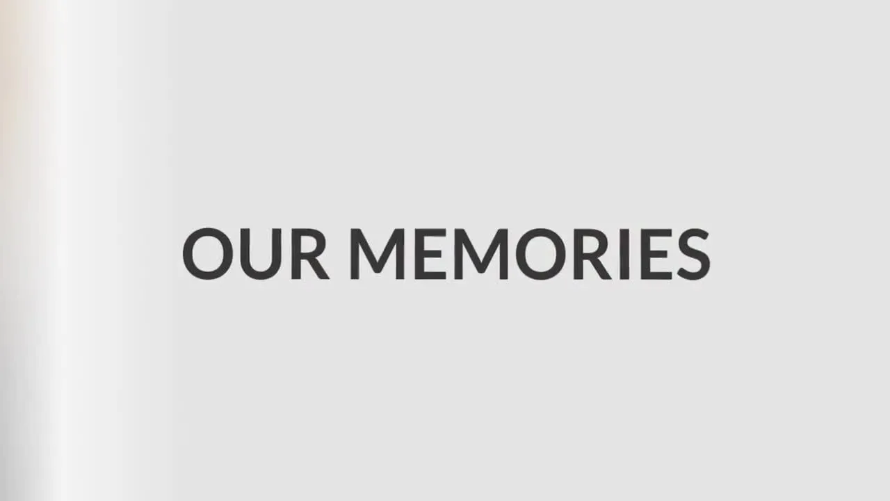 干净而现代的婚礼照片展示像素设计精选AE模板