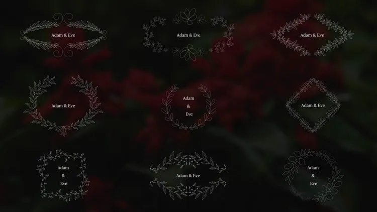 婚礼标题动画效果优雅的像素设计精选AE模板