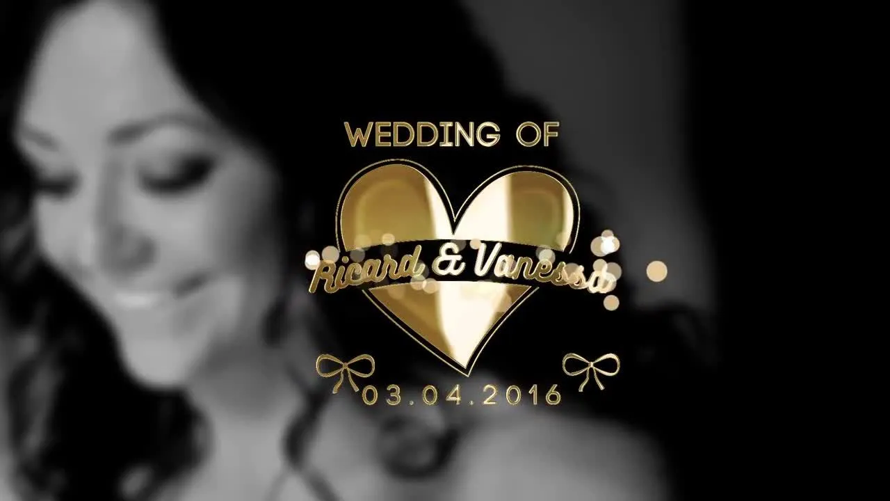 10个黄金婚礼标题像素设计精选AE模板