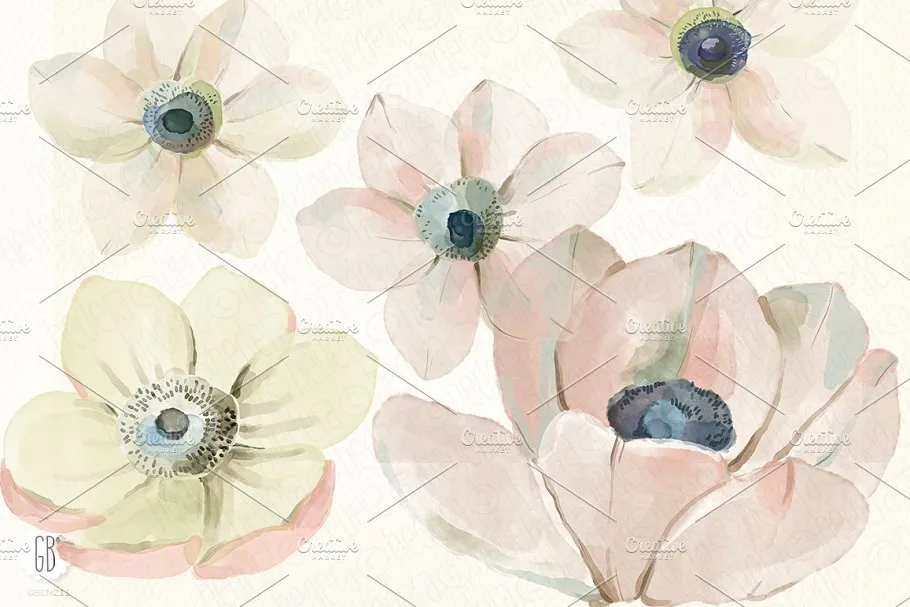 银莲花水彩剪贴画 Watercolor anemones插图(1)