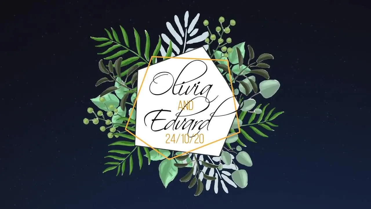 6个独特的动画热带婚礼标签像素设计精选AE模板