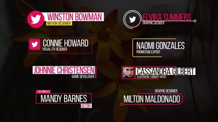 现代漂亮的低三分之二文本标题像素设计精选AE模板