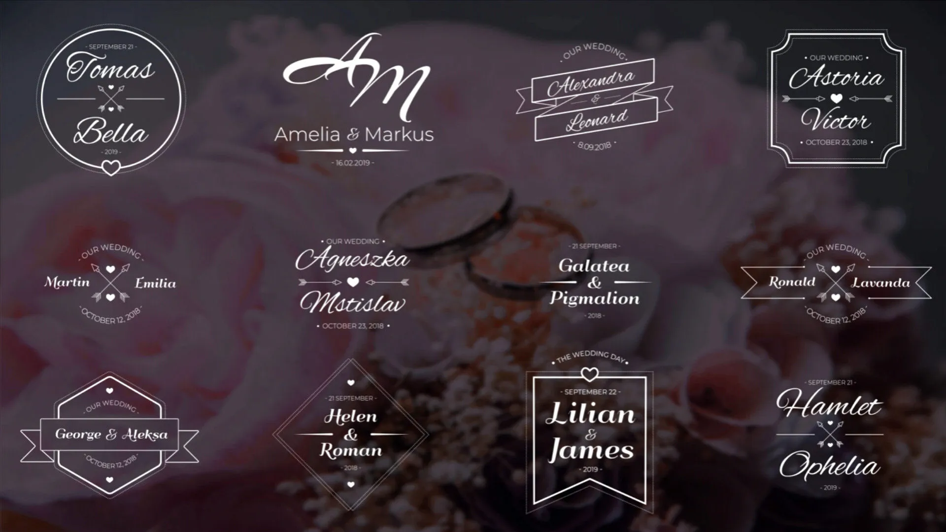 12个精美的婚礼全屏标题像素设计精选AE模板