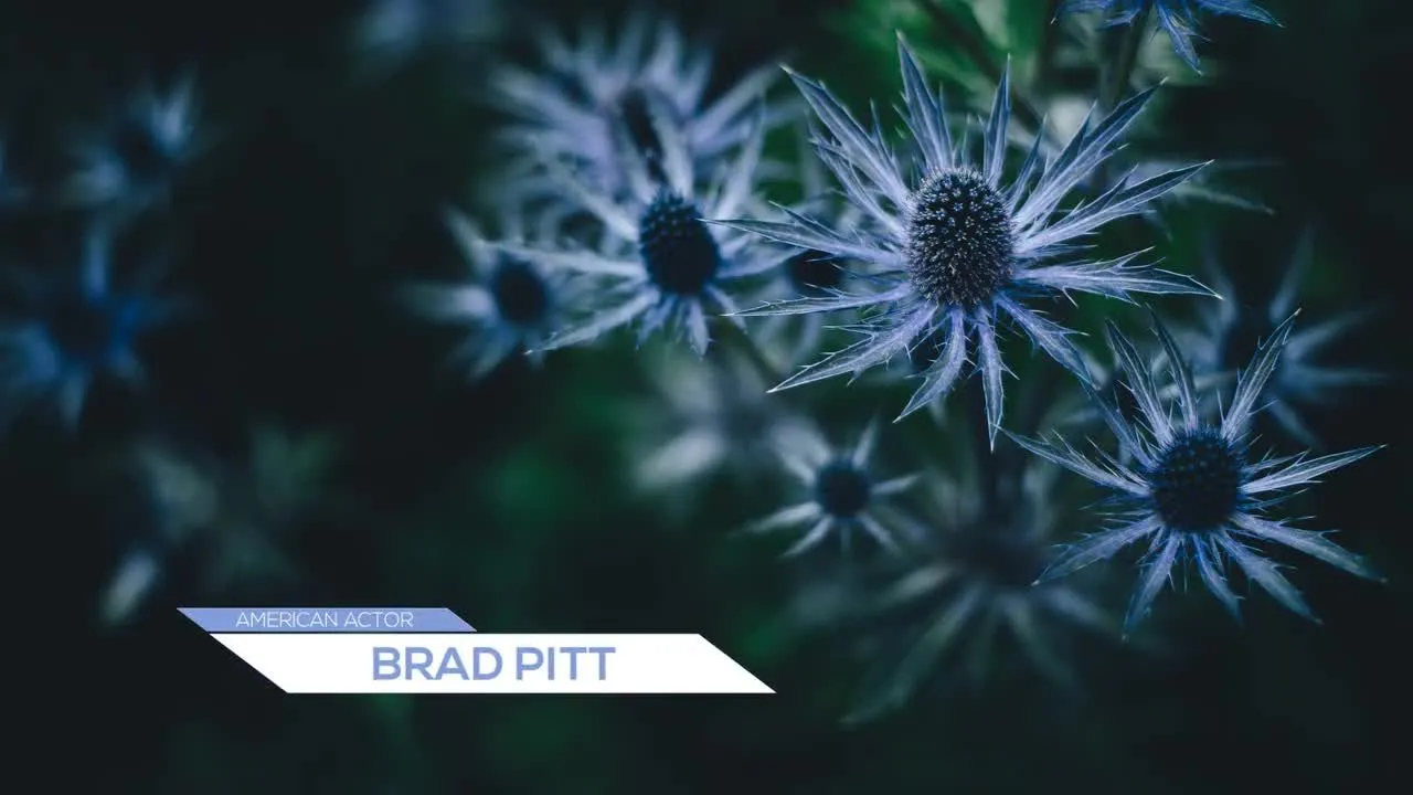 13个独特下三分之一全屏幕标题像素设计精选AE模板