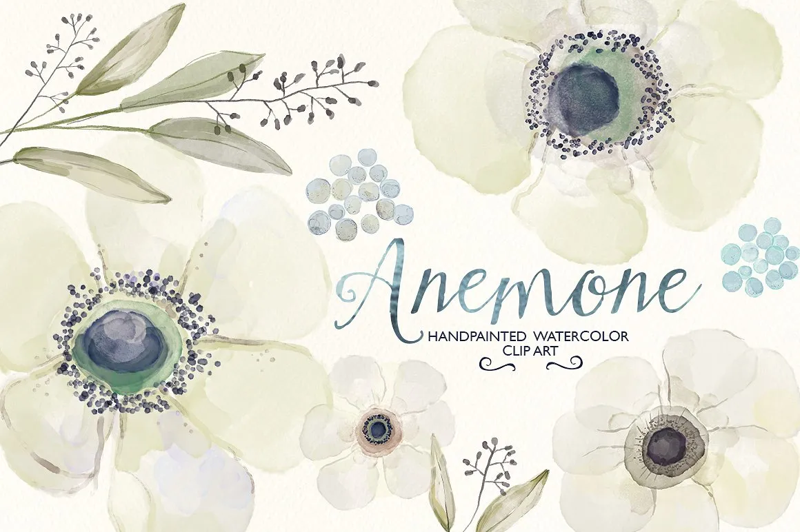 毛茛属植物水彩插画素材 Watercolor ranunculus clip art插图(1)