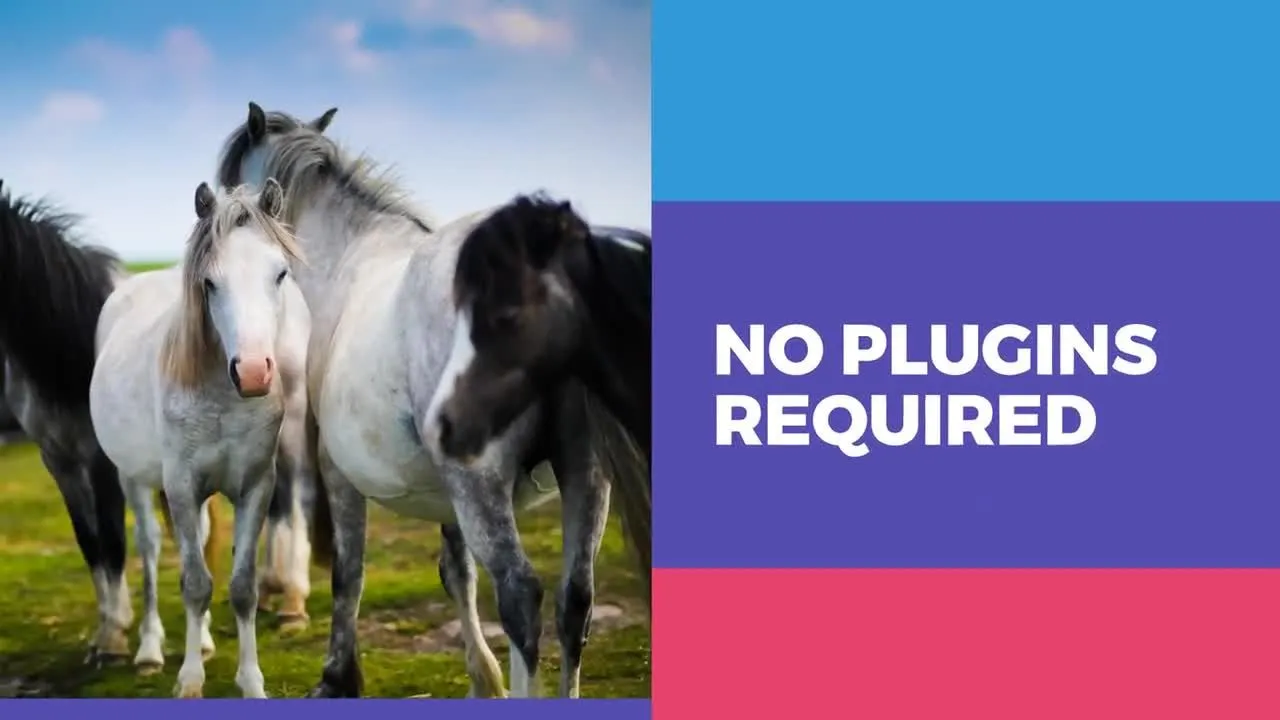 电视节目活动视频像素设计精选AE模板