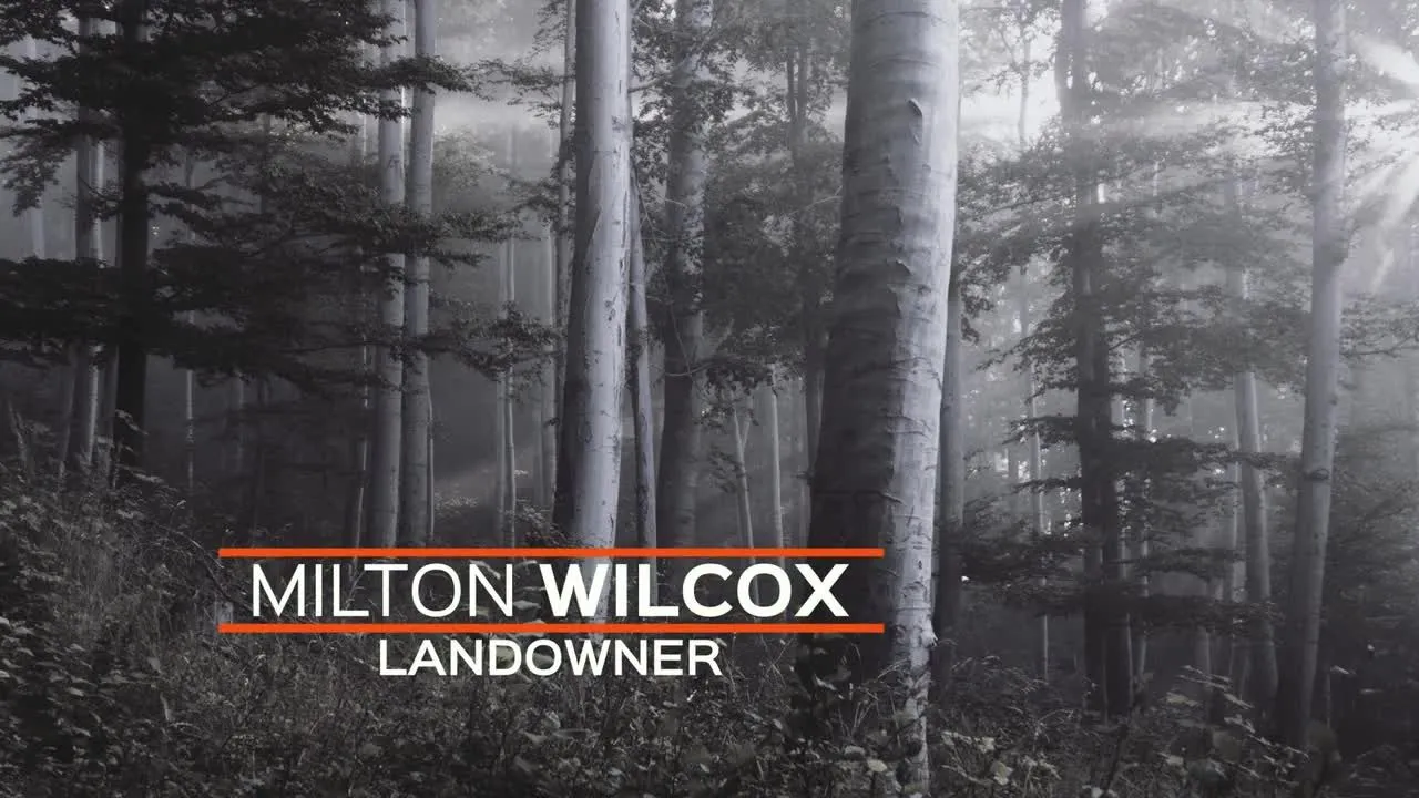 30种下三分之一动画标题像素设计精选AE模板