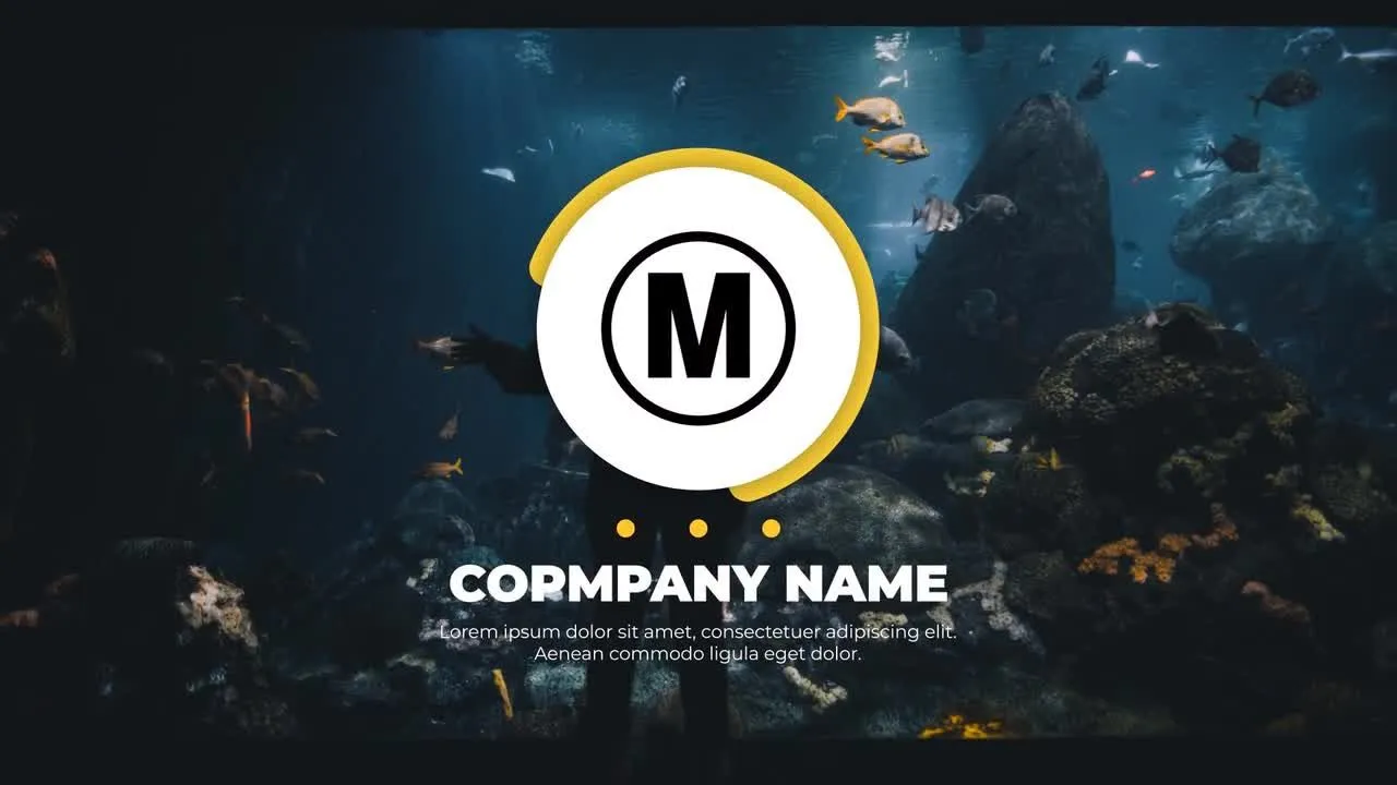 扁平圆形形状logo特效像素设计精选AE模板