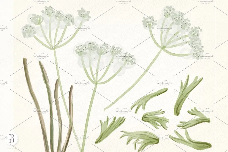 银莲花水彩剪贴画 Watercolor anemones插图(2)