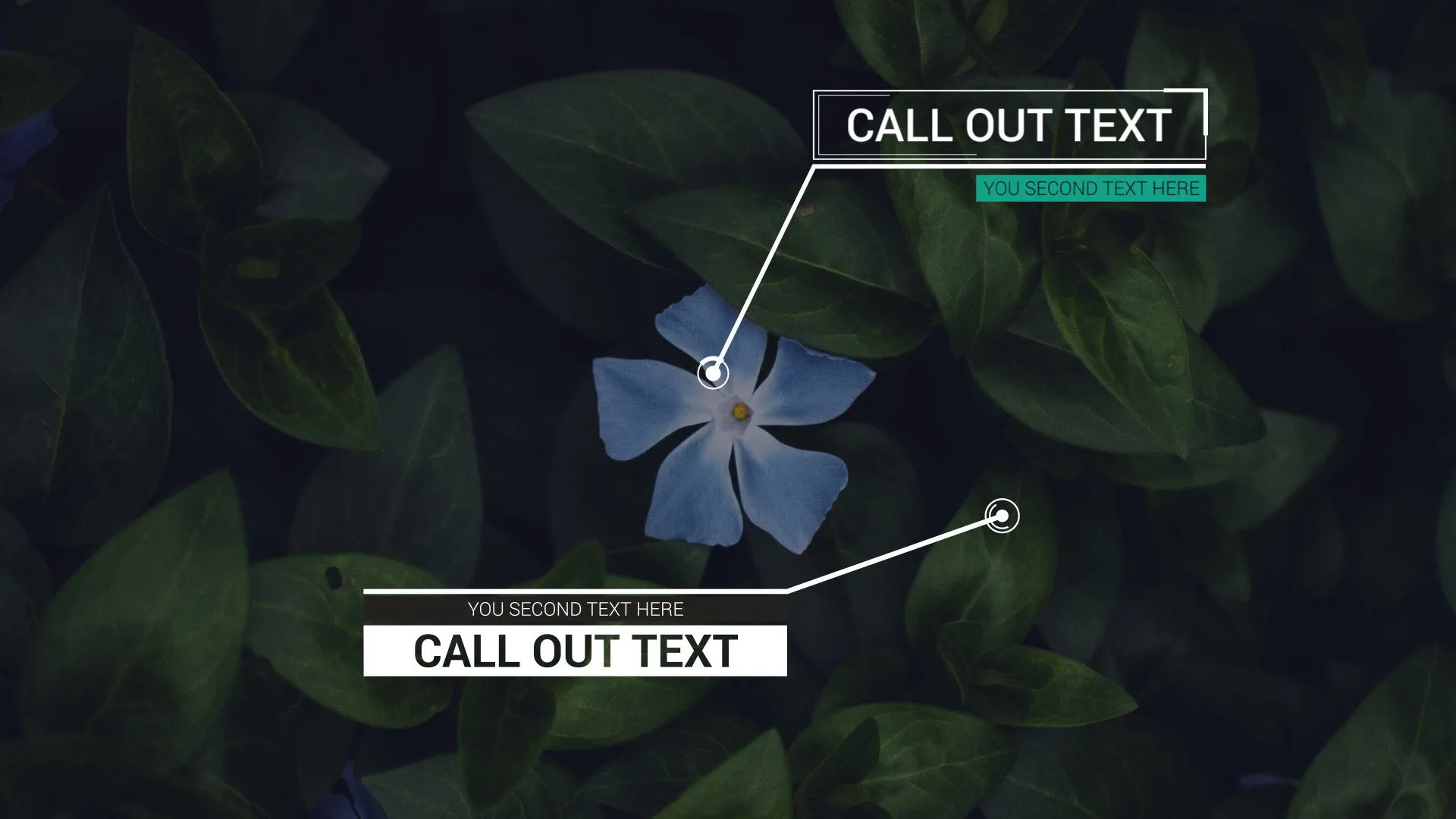 现代标注标题动画像素设计精选AE模板