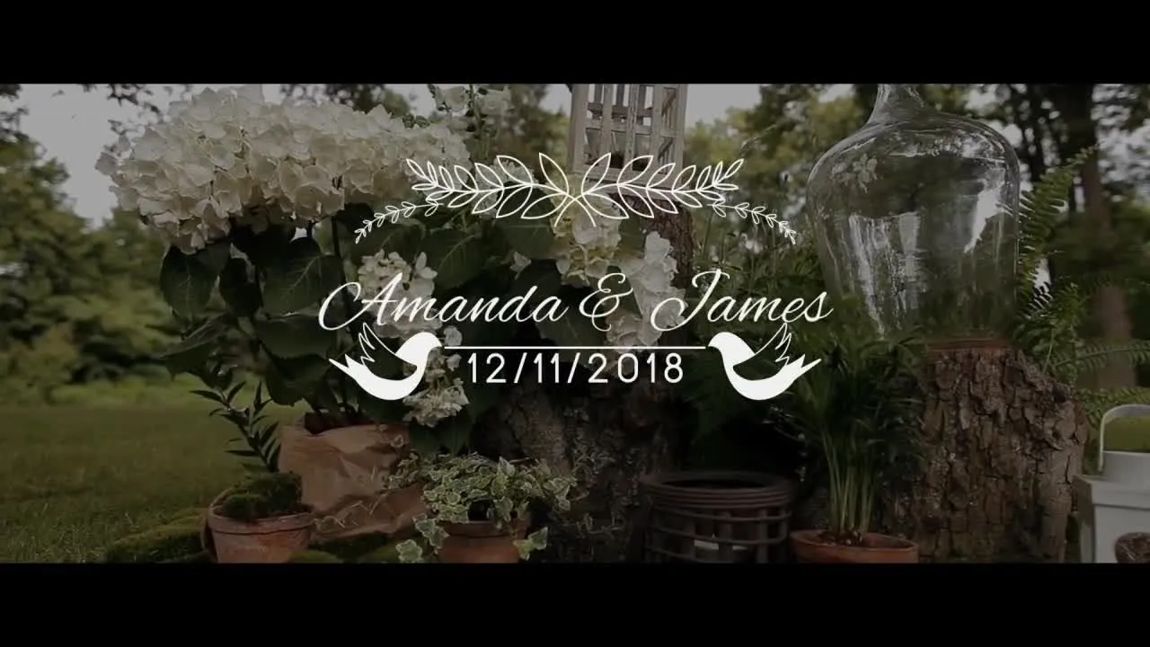 15个下三分之一婚礼动画标题像素设计精选AE模板