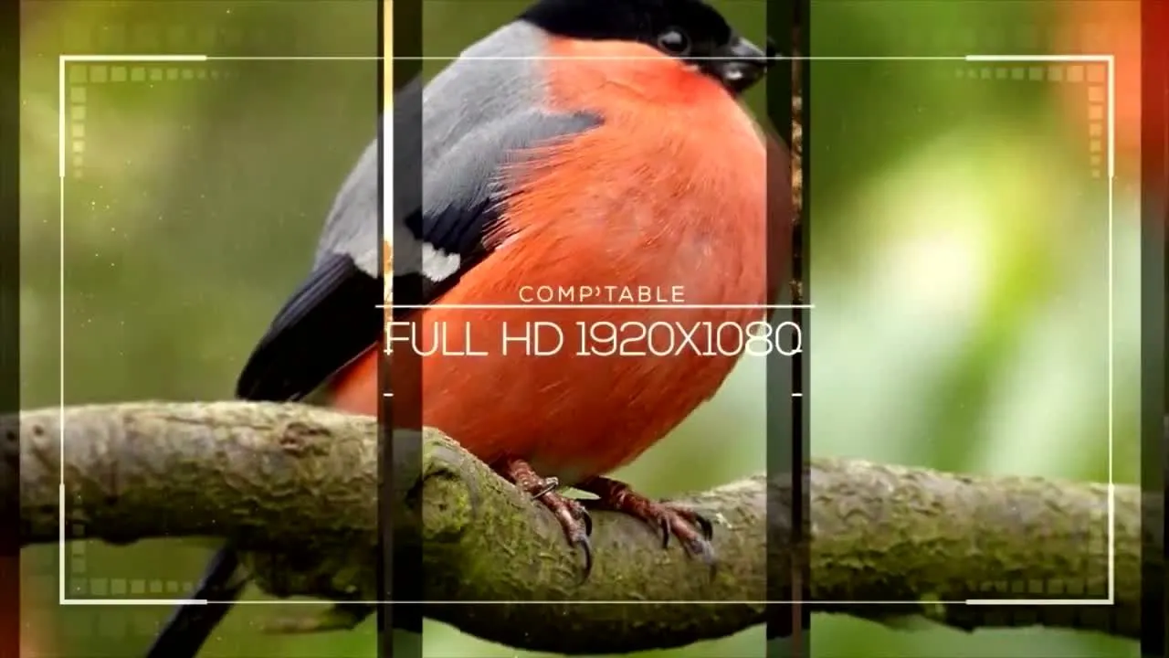 15个流畅的动画幻灯片像素设计精选AE模板