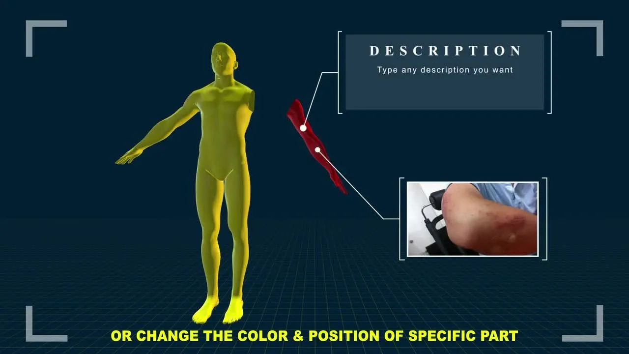 三维人体信息动态图表像素设计精选AE模板