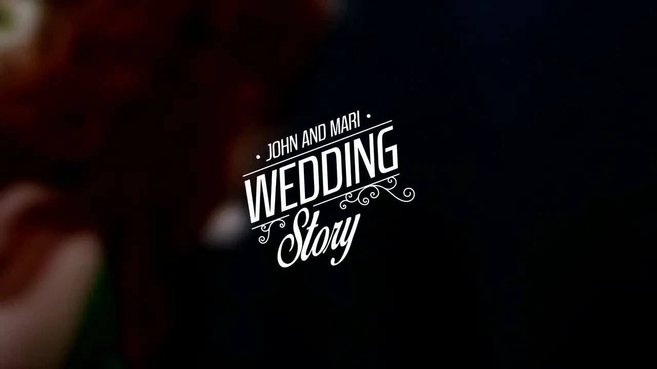 20个婚礼标题像素设计精选AE模板