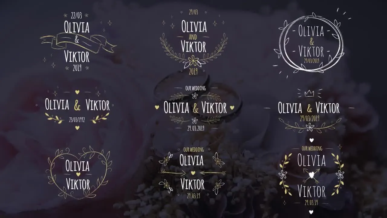 9个全屏标题动画手绘婚礼标签像素设计精选AE模板