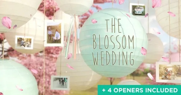 浪漫婚礼幻灯片视频素材像素设计精选AE模板 Wedding Slideshow