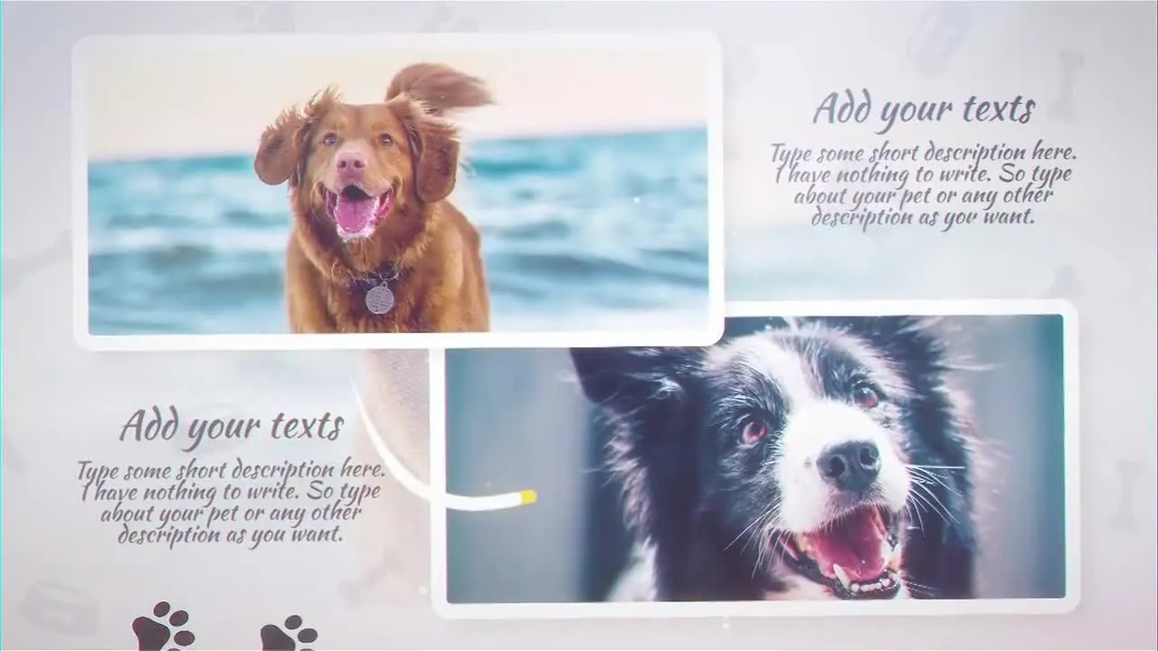 宠物幻灯片展示像素设计精选AE模板