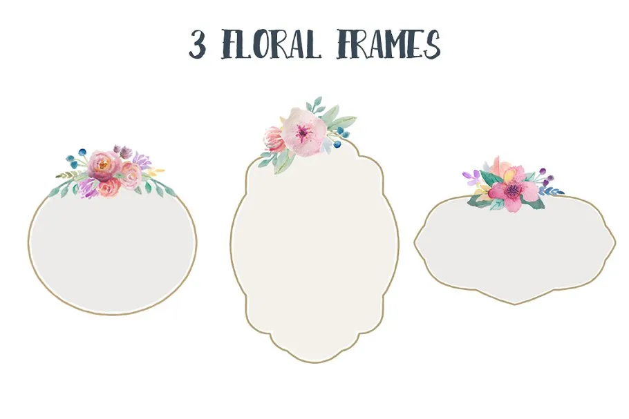 水彩花卉素材集(元素、花环&花框) Go Floral! watercolor clip art set插图(3)