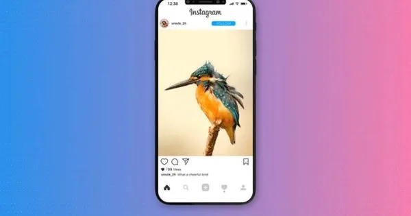 Instagram社交软件设计演示像素设计精选AE模板 Instagram Promo
