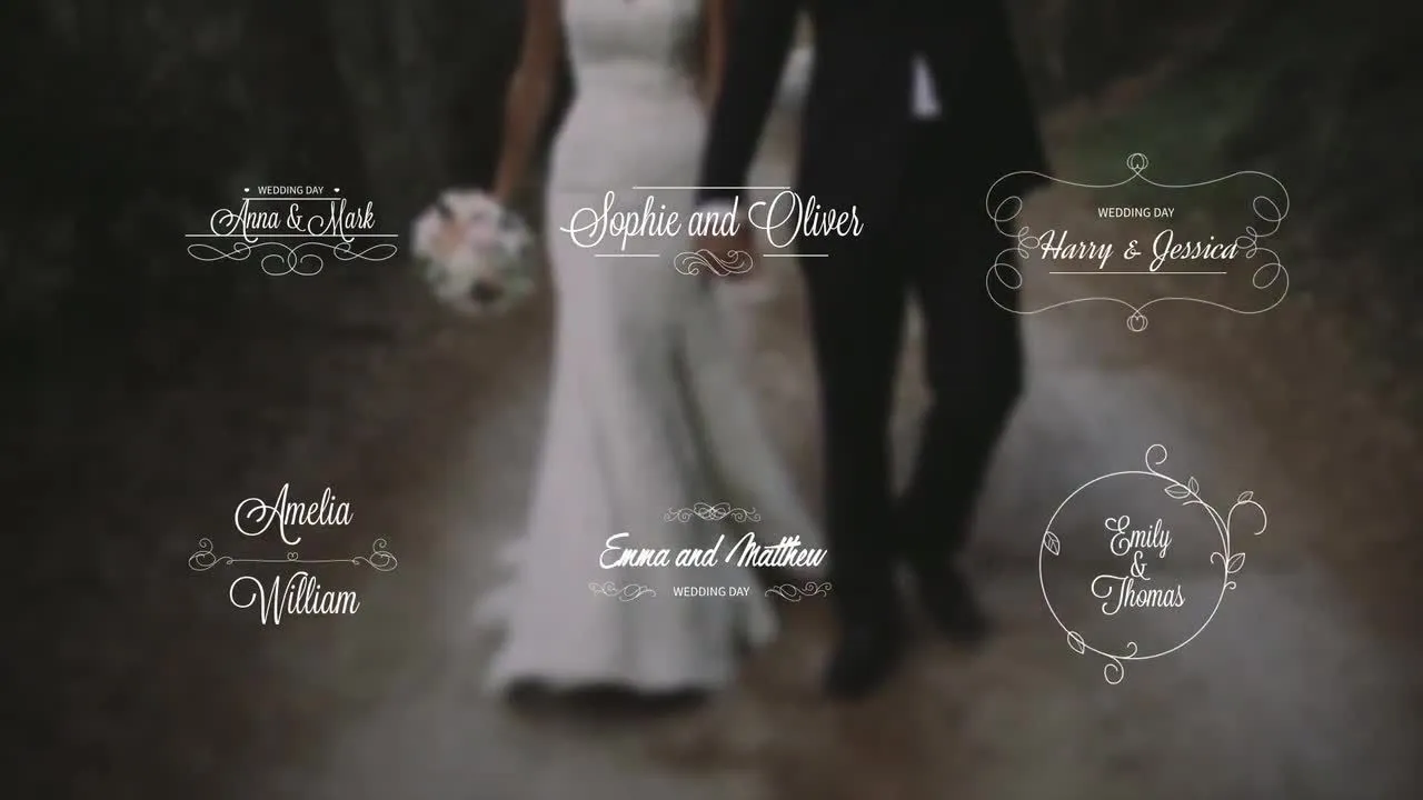 6个婚礼标题动画像素设计精选AE模板